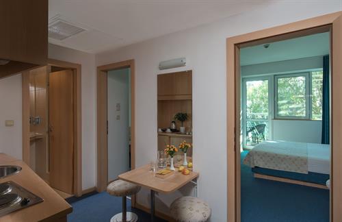 Effect Grand Victoria (Ex. Grand Victoria) - FAMILY APARTMENT - 187646