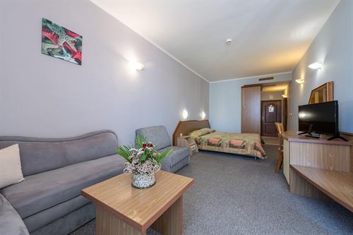 Hrizantema - COMFORT - 187735