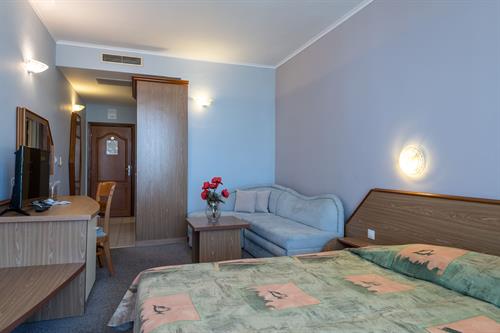 Hrizantema - STANDARD - 187732