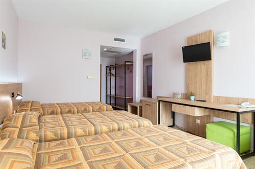 Ivana Palace - TRIPLE ROOM - 188125