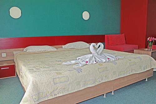 Kiparisite - STANDARD - 241746