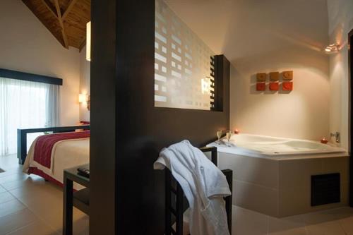 Punta Cana Princess (adults Only 18+) - DELUXE SUITE - 83377