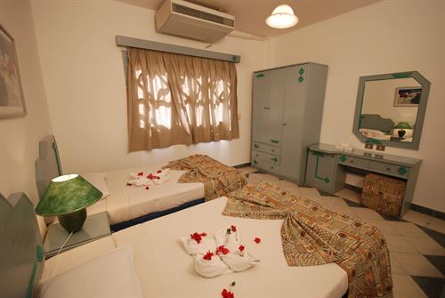 Dive Inn Resort - FAMILY ROOM TWO BED - 169303