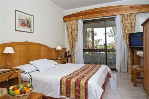 Ghazala Beach Hotel - STANDARD ROOM - 244008