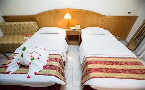 Ghazala Beach Hotel - STANDARD ROOM - 244009
