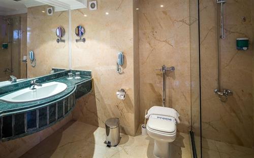 Hawaii Le Jardin Resort & Aqua Park (Ex. Festival Le Jardin) - STANDARD ROOM - 212455