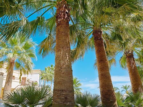 Grecotel Club Marine Palace Suites - Casa Marina Family Apartment Pool / Garden View - 196765