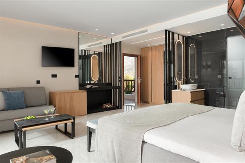 Ikaros Beach Resort & Spa(Adult Only 16+) - DSV/BUNGALOW DLX SV/DOUBLE - 198631