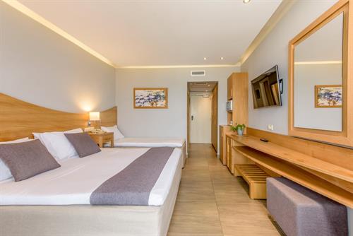 Lyttos Beach - Double Superior Land View Individual Pool - 199762