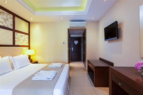 Theartemis Palace - DOUBLE ROOM LAND VIEW - 203856