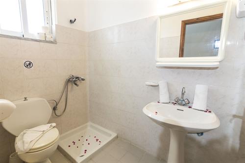 Tivoli Hotel - DOUBLE ROOM - 203911