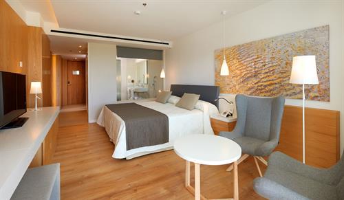Hipotels Playa De Palma Palace - STANDARD ROOM - 48322
