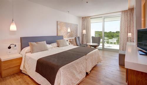 Hipotels Playa De Palma Palace - STANDARD ROOM - 48323
