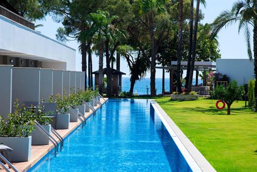 Acanthus & Cennet Barut Collection - SWIM UP ROOM - 249435