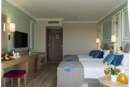 Adalya Artside Hotel - STD ROOM LAND VIEW - 241403