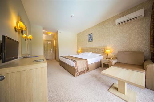 Alder Resort Hotel - STANDARD ROOM - 246227