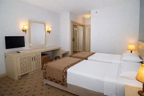 Alder Resort Hotel - STANDARD ROOM - 246229
