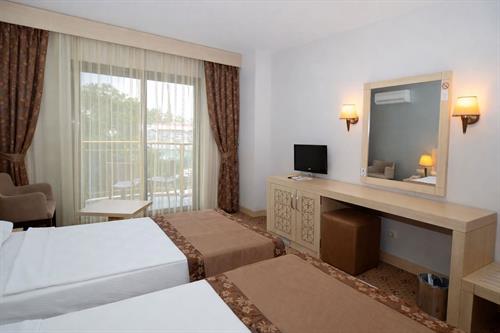 Alder Resort Hotel - STANDARD ROOM - 246230