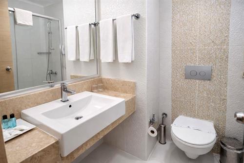 Alder Resort Hotel - STANDARD ROOM - 246231
