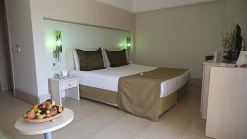 Ambassador Plaza Hotel - STANDARD PARK ROOM - 211261