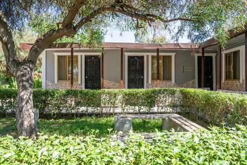 Aperion Beach Hotel - GARDEN ROOM - 206533