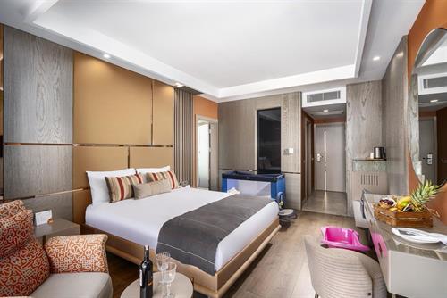 Arycanda Kirman Premium - FAMILY ROOM LAND VIEW - 210173