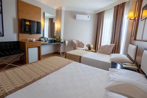 Aydinbey Gold Dreams - STANDARD ROOM - 242317