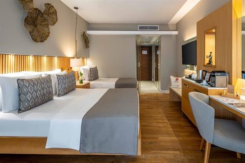 Barut Hemera - Deluxe Room Swim Up - 241957