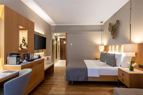 Barut Hemera - SUPERIOR ROOM LAND VIEW - 241935