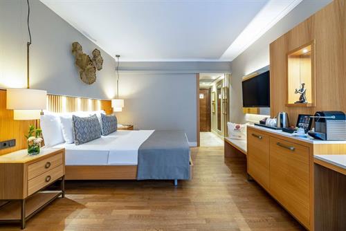 Barut Hemera - SUPERIOR ROOM WITH JACUZZI ON BALCONY - 241948