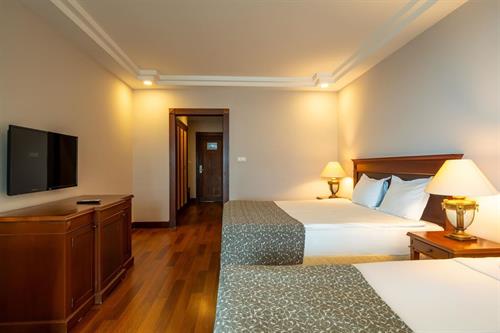 Bodrum Holiday Resort - STANDARD HOTEL ROOM - 238510