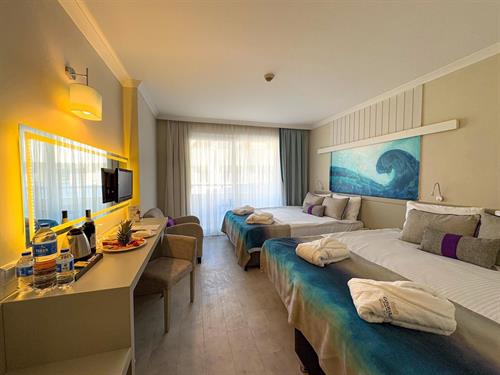 Catamaran Quality Times - Standard Comfort Room - 238051