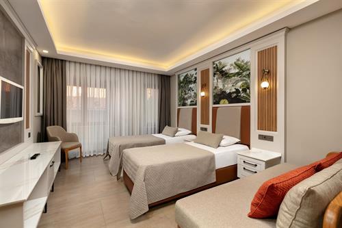 Club Hotel Phaselis Rose - Comfort Std Economy Room - 208373