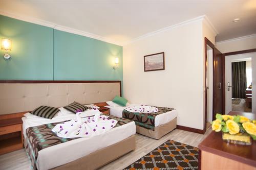 Concordia Celes Hotel - STANDARD ROOM - 250531