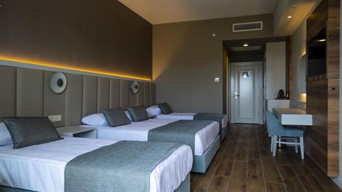 Dream Water World - STANDARD ROOM 2 - 235286