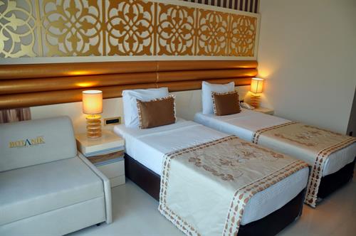 Elamir Resort Hotel - STANDARD ROOM - 184058