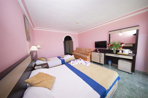 First Class Hotel - STANDARD ROOM - 179951
