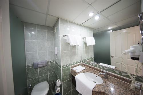 First Class Hotel - STANDARD ROOM - 179952