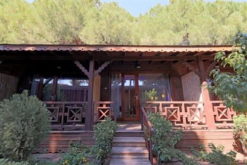 Flora Garden Beach Hotel (Adults Only +16) - BUNGALOW GARDEN VIEW - 251873