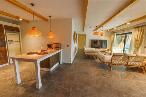 Flora Garden Beach Hotel (Adults Only +16) - PRESIDENTIAL VILLA - 251865
