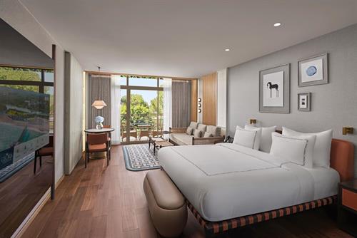 Gloria Serenity Resort Hotel - SUPERIOR ROOM - 235065