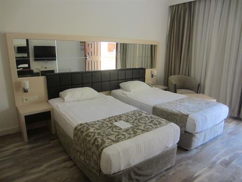 Golden Lotus Hotel - STANDARD ROOM - 43259