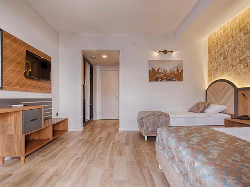 Grand Uysal Beach & Spa Hotel - STANDARD ROOM LAND VIEW - 184189