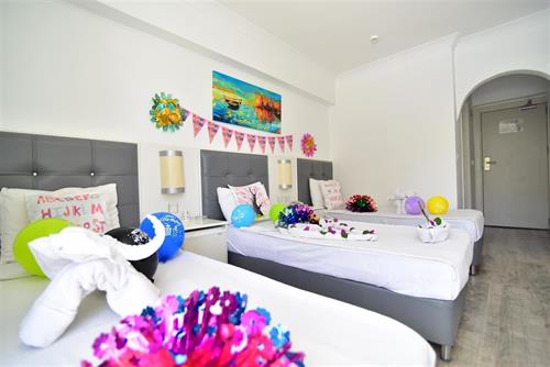 Halici Hotel - STANDARD ROOM LAND VIEW - 243493