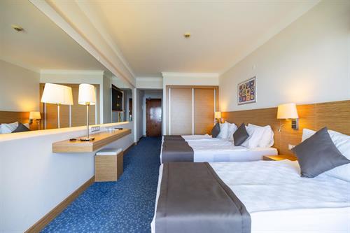 Hotel Grand Efe - ECONOMY ROOM - 251539