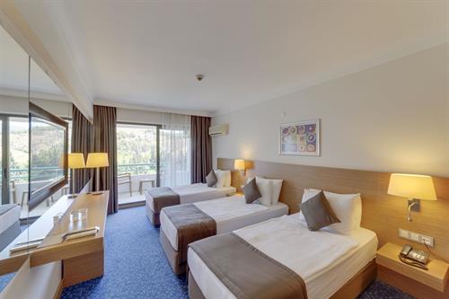 Hotel Grand Efe - STANDARD ROOM LAND VIEW - 182777