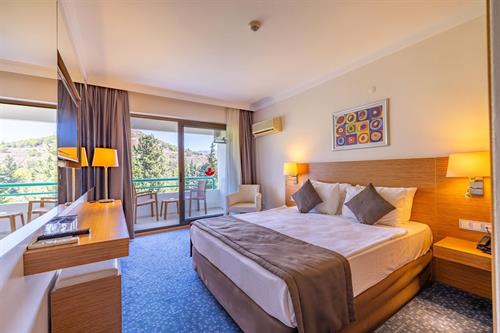 Hotel Grand Efe - STANDARD ROOM LAND VIEW - 251546