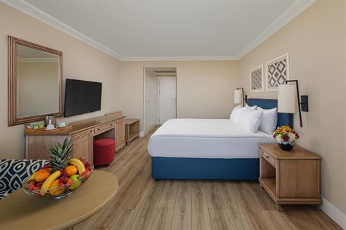 Ic Hotels Green Palace - STANDARD ROOM - 239248