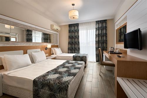 Kaila Beach Hotel (Ex. Katya Hotel) - STANDARD ROOM LAND VIEW - 216116