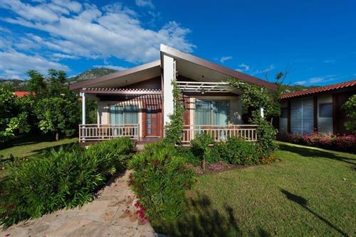 Kimera Lounge - Orange Family Room - 216534